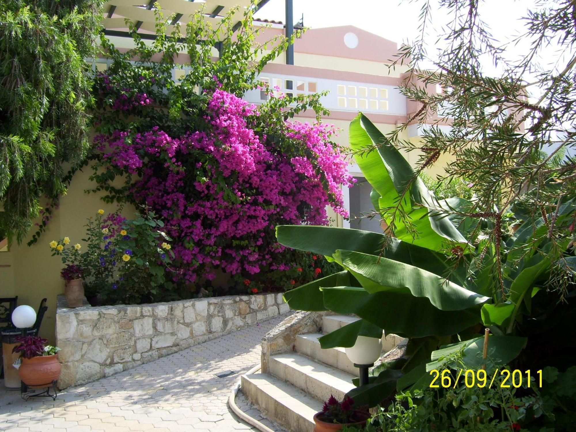 Apelia Residence Agia Marina Extérieur photo